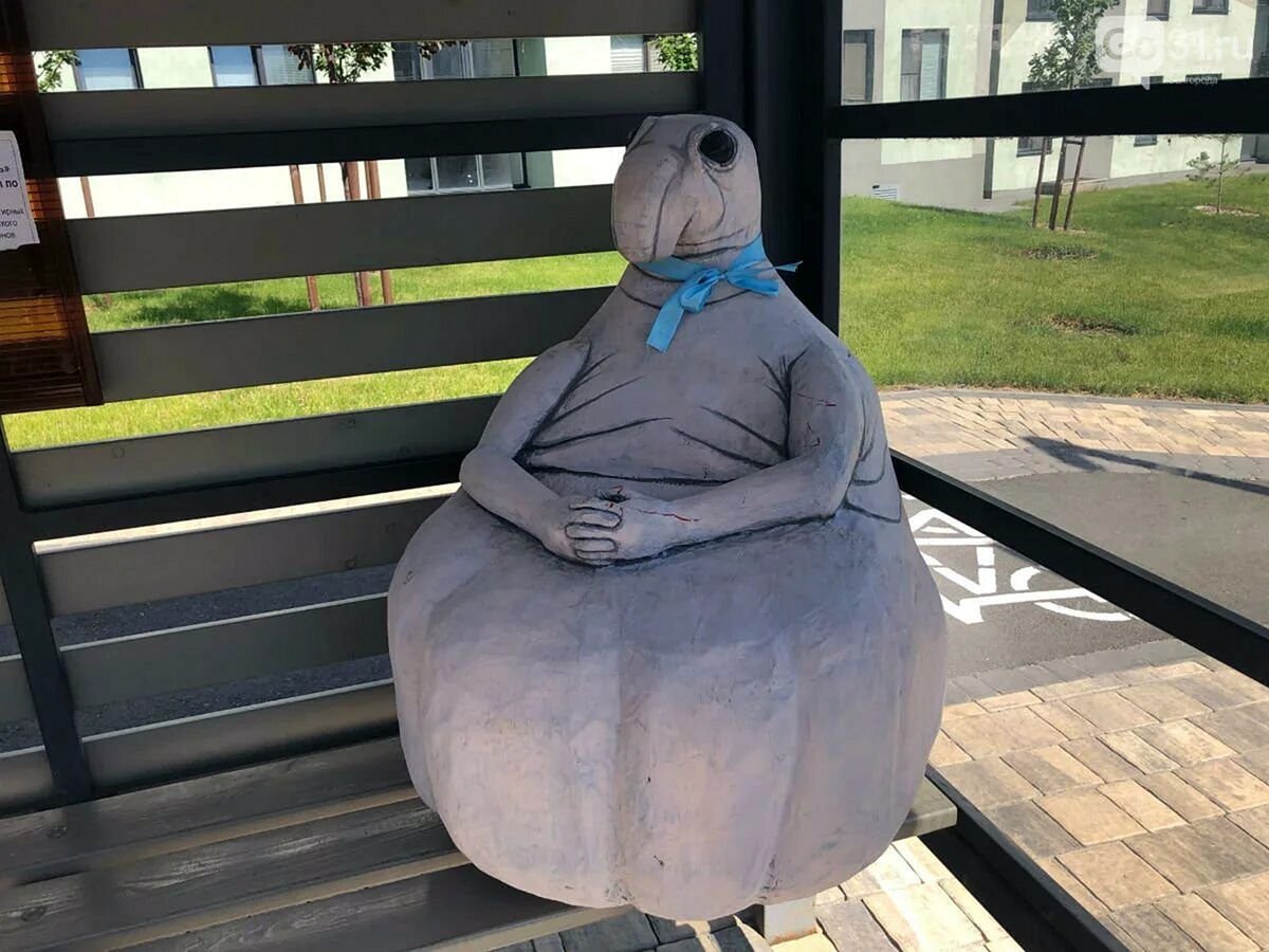 Морской слон Ждун