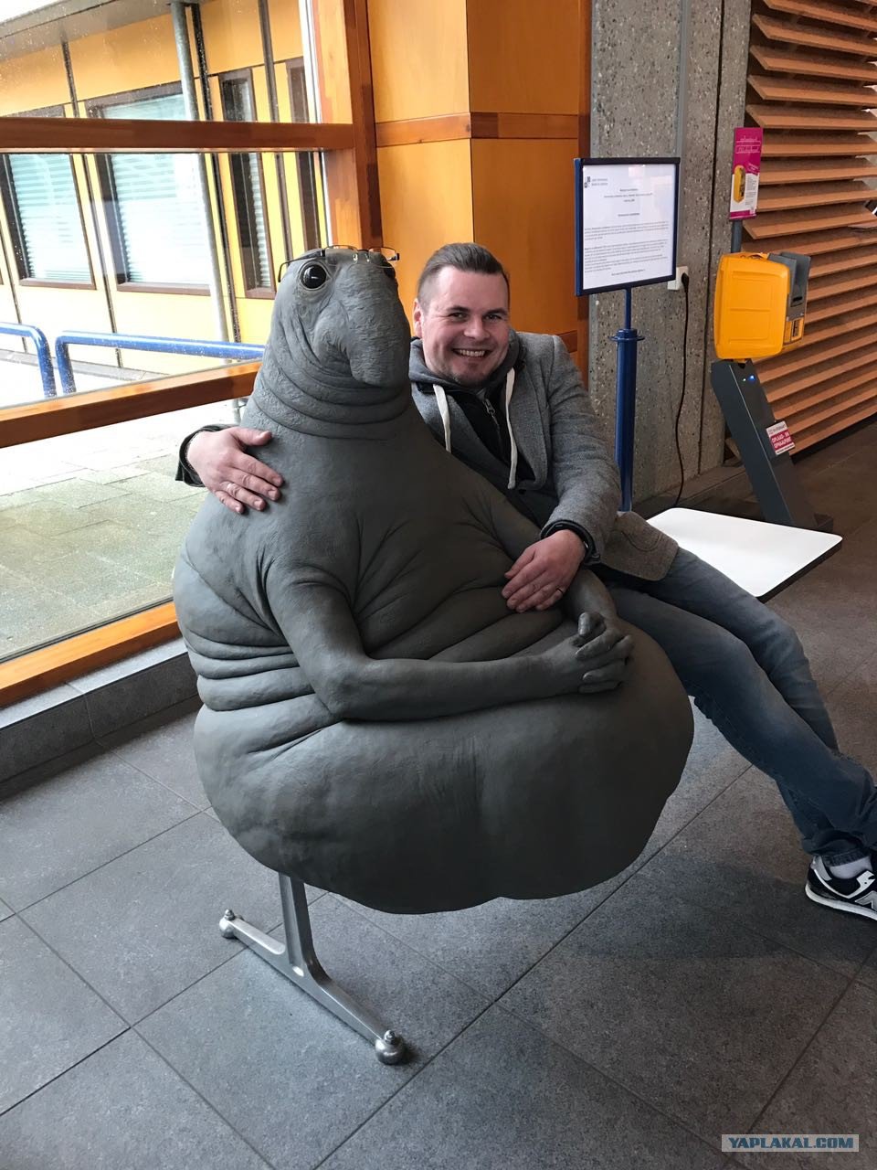 Ждун смешной