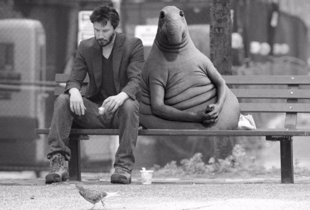 Ща клиенты придут Ждун