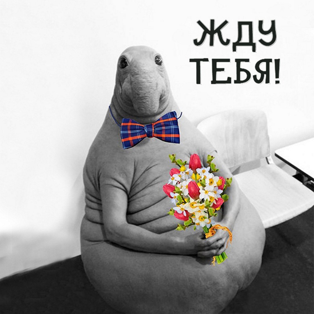 Ждун в очереди