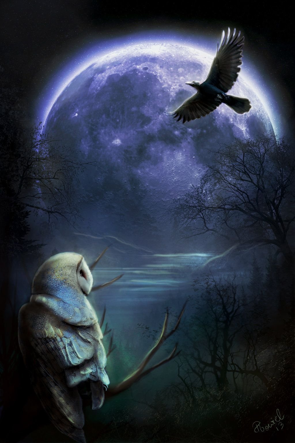 Сова и Луна