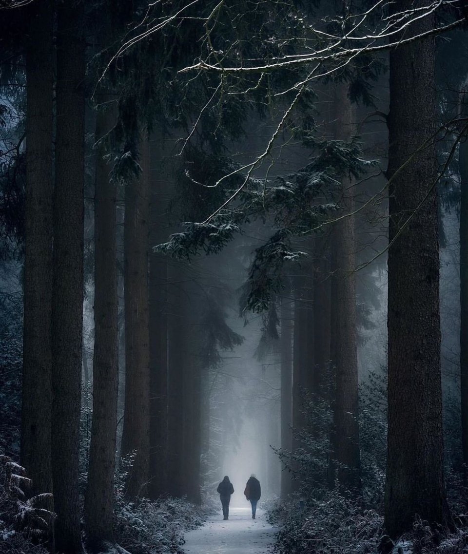 Страшный лес