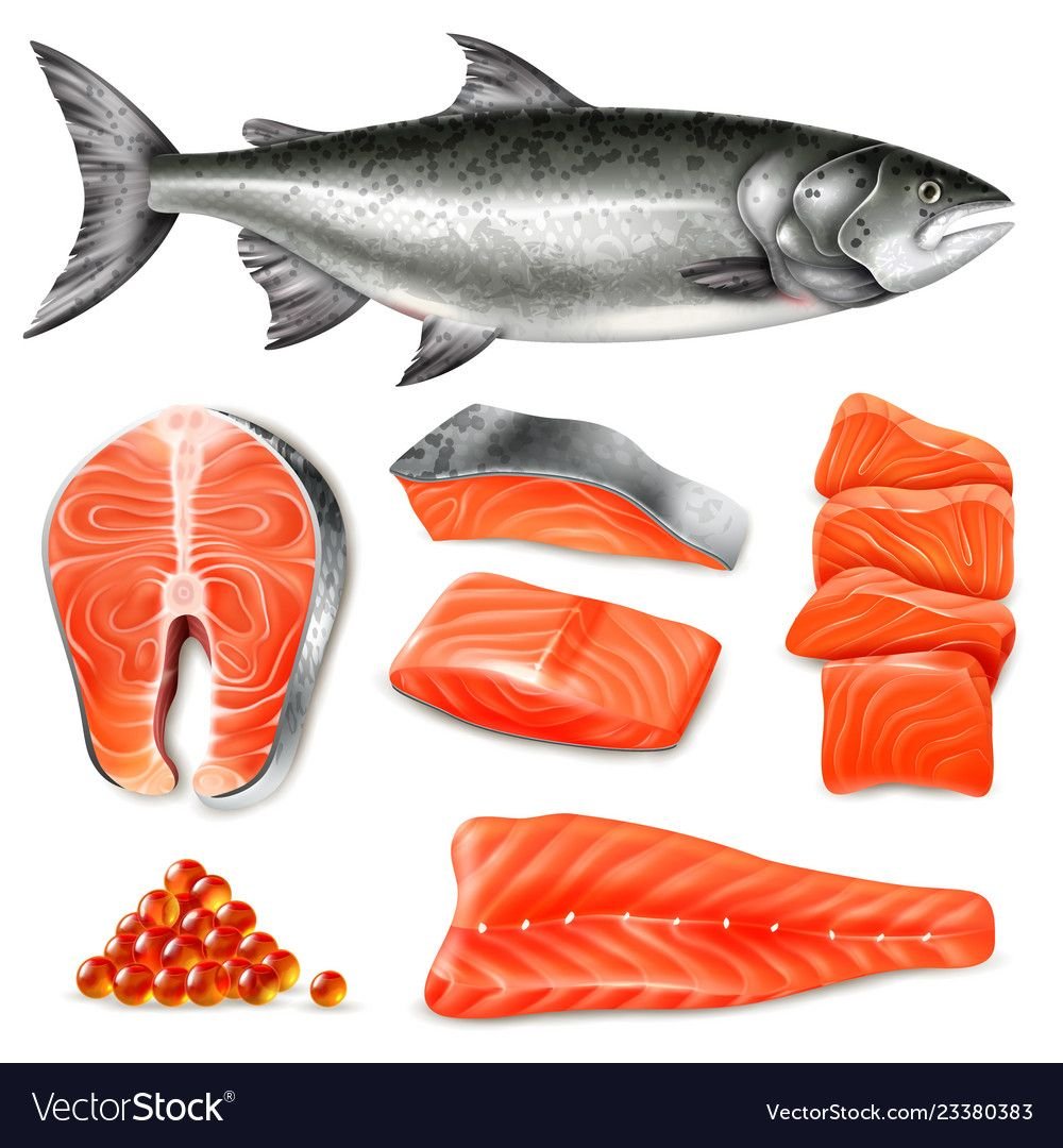 Мясо рыба рисунок