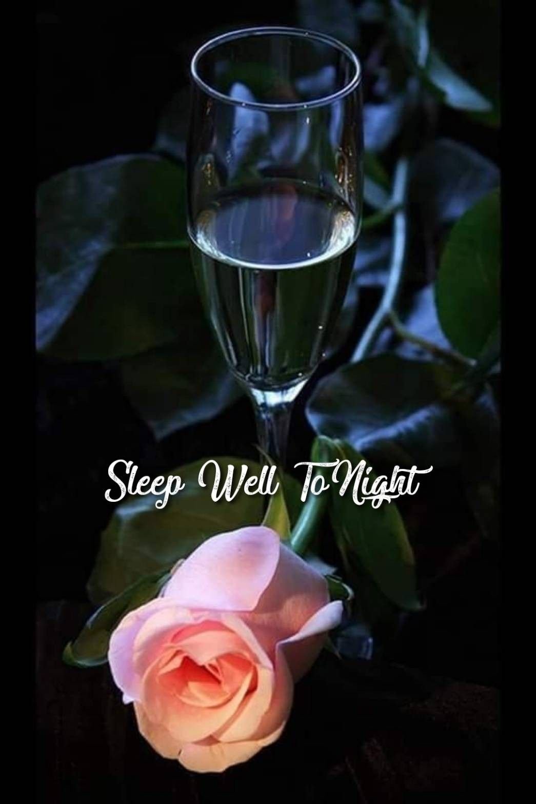 Роза в бокале с вином