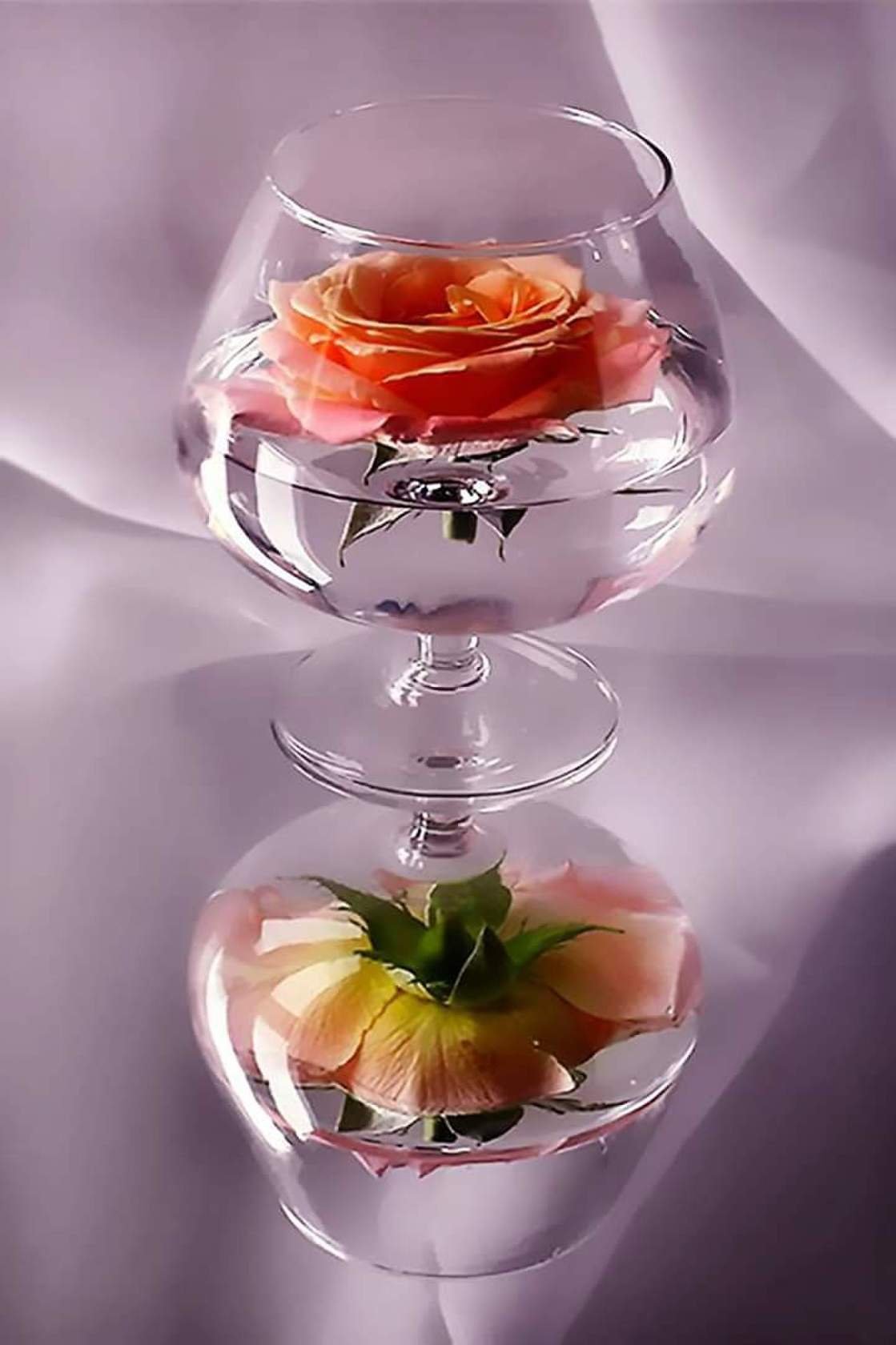 Красивые цветы в бокале