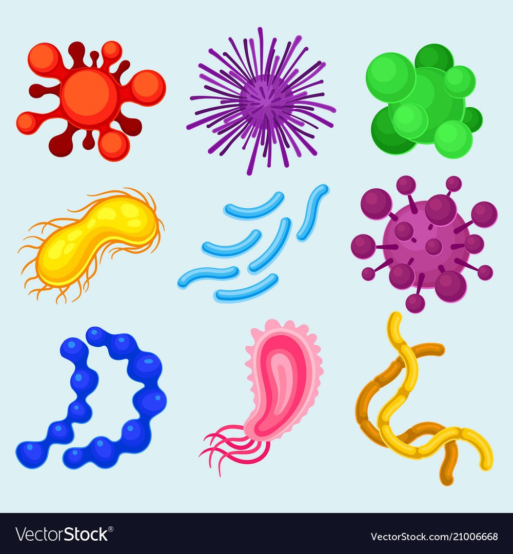 Бактерии картинки для презентации