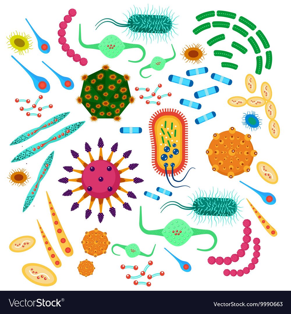 Вирусы и бактерии для детей