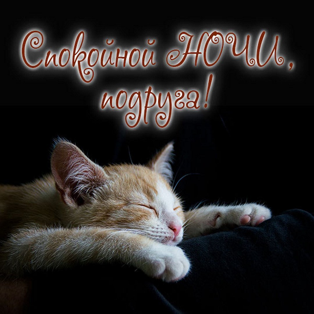 Спокойной ночи до завтра