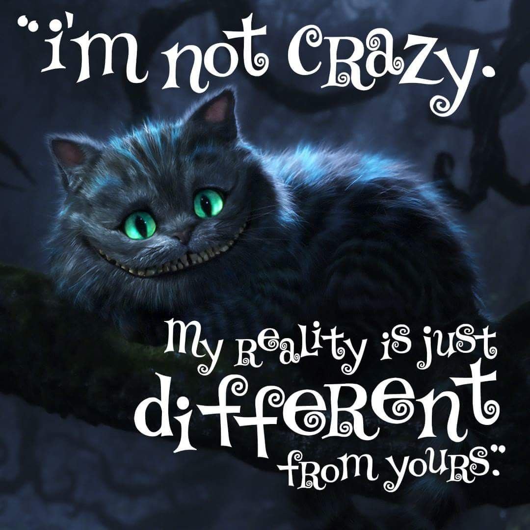 Чишминский кот Алиса в стоане чудес