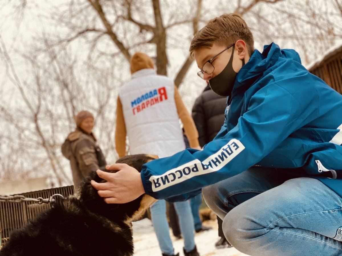 Волонтеры культуры