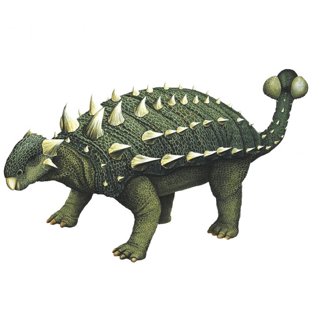 Нарисовать Анкилозавра