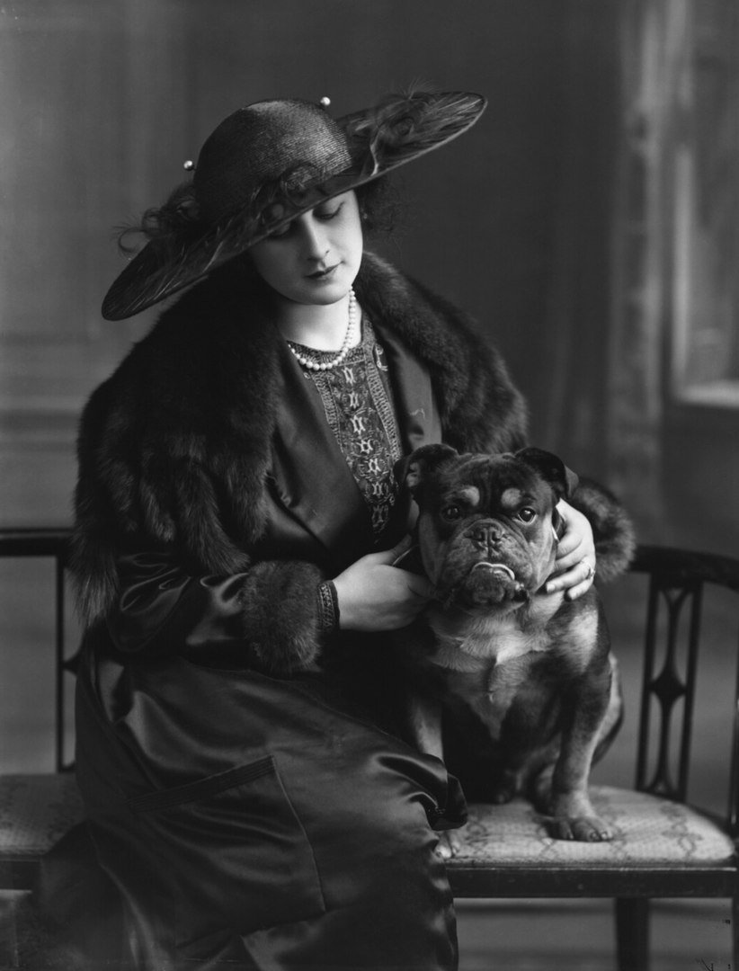 Дама с собачкой порода