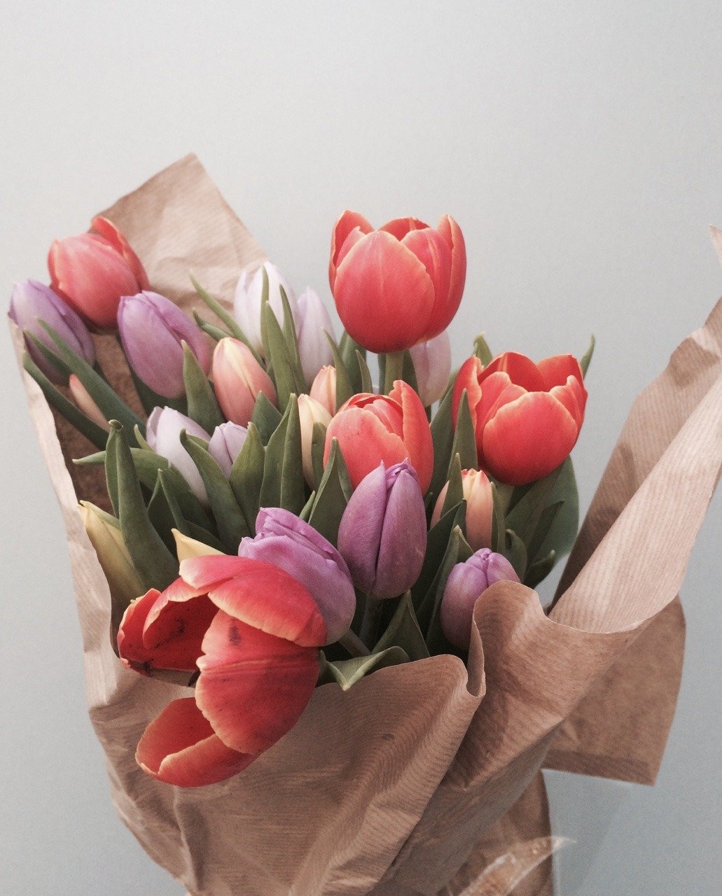 Тюльпаны Эстетика