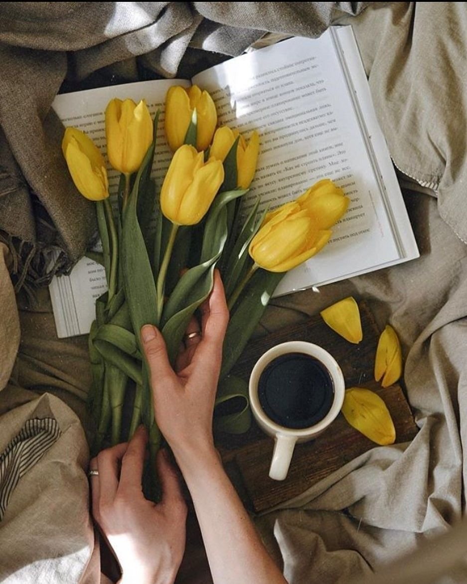 Тюльпаны Эстетика