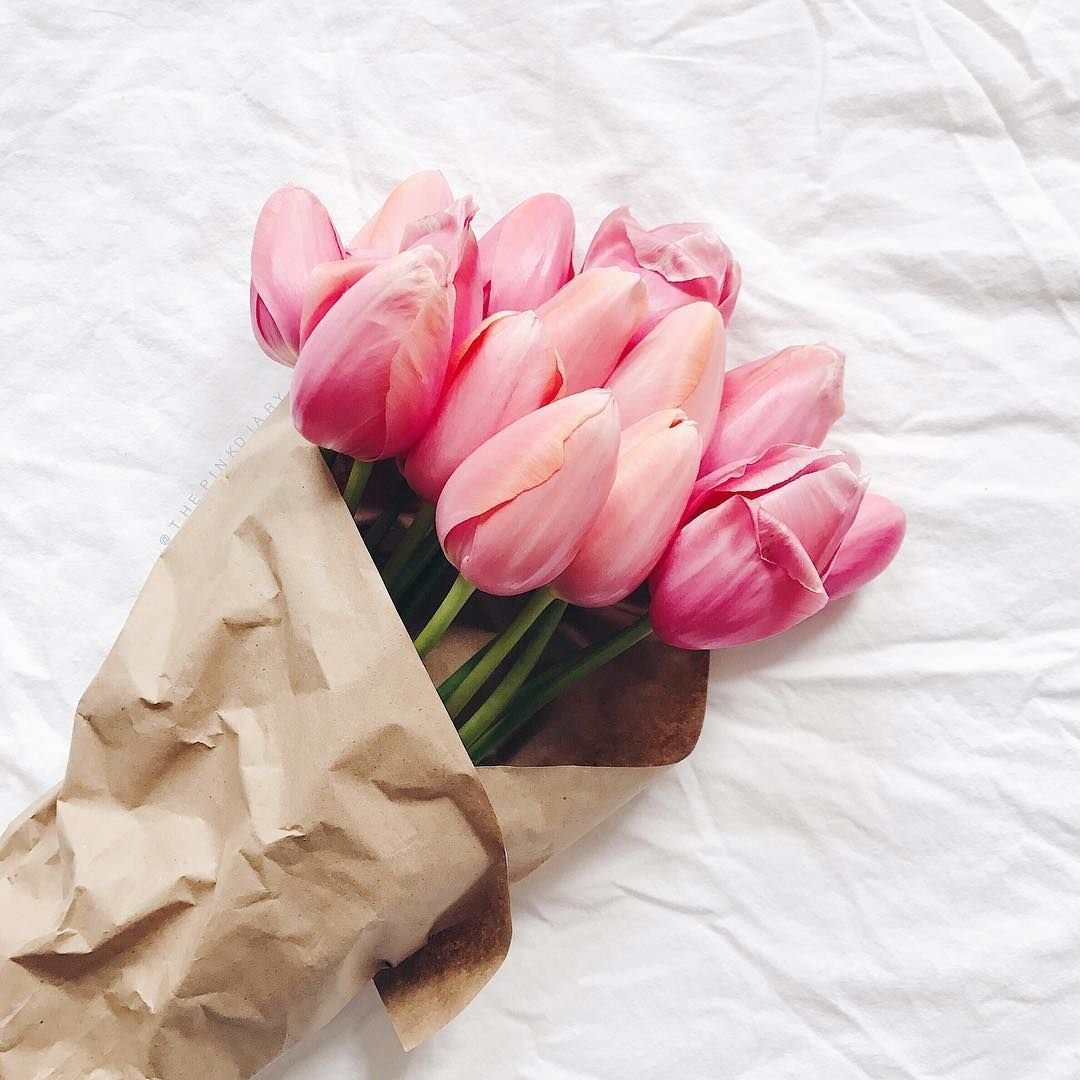 Белые тюльпаны букет Эстетика