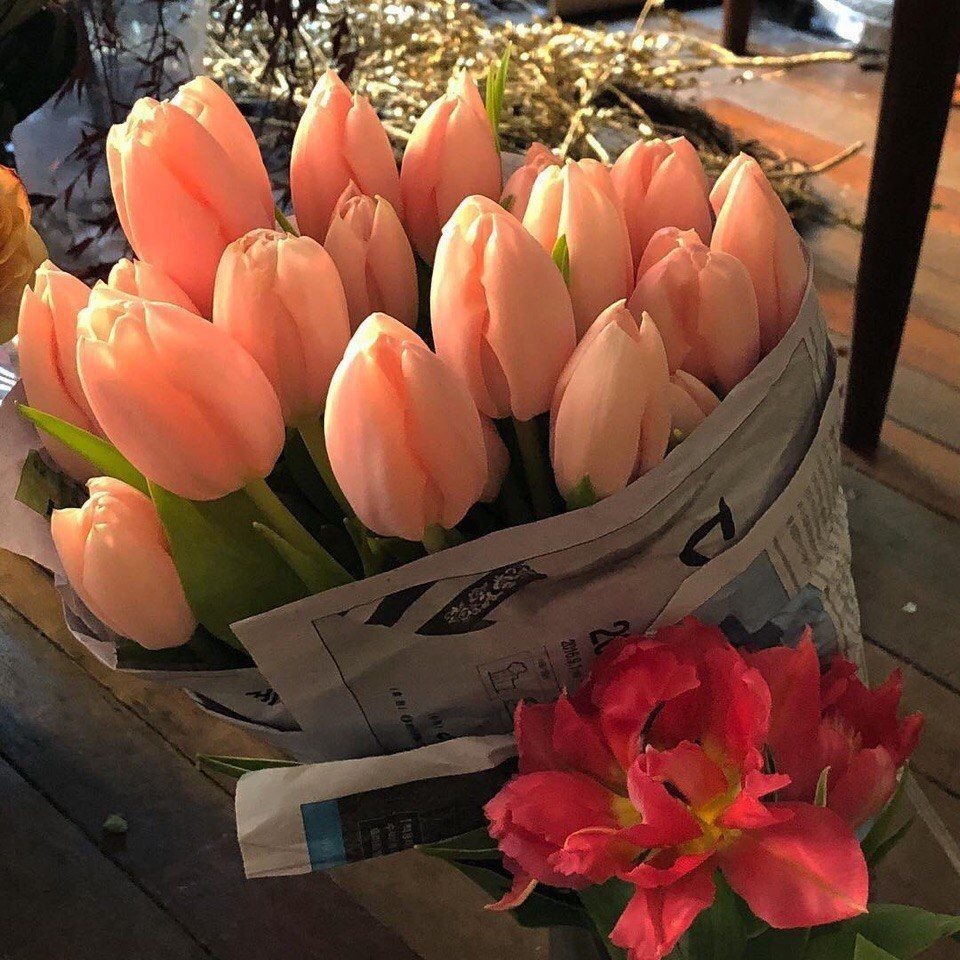 Тюльпан Джоинт дивижн