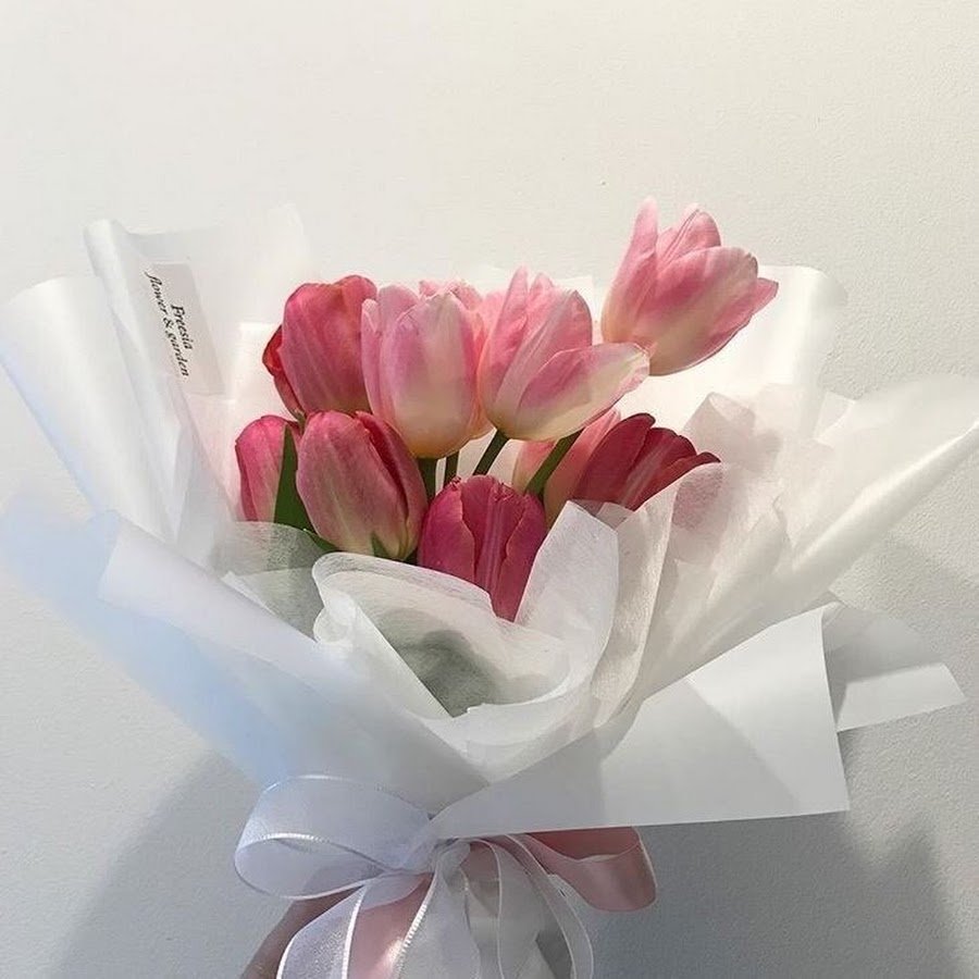 Тюльпаны Эстетика