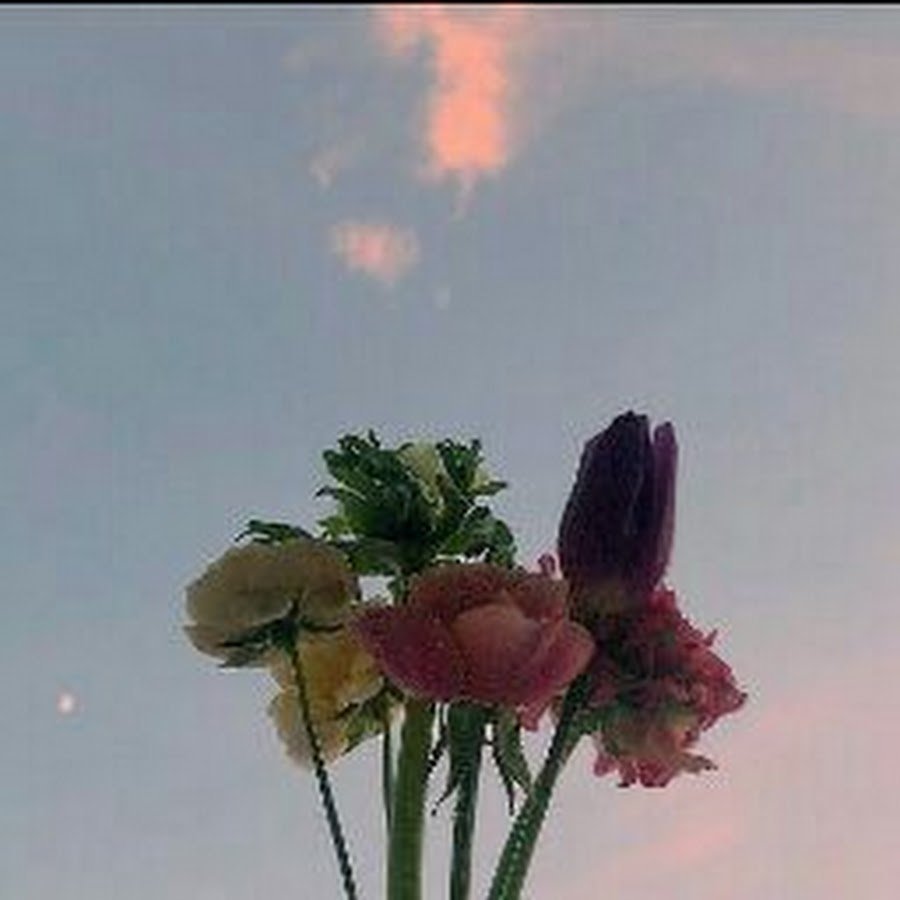 Красные тюльпаны Эстетика