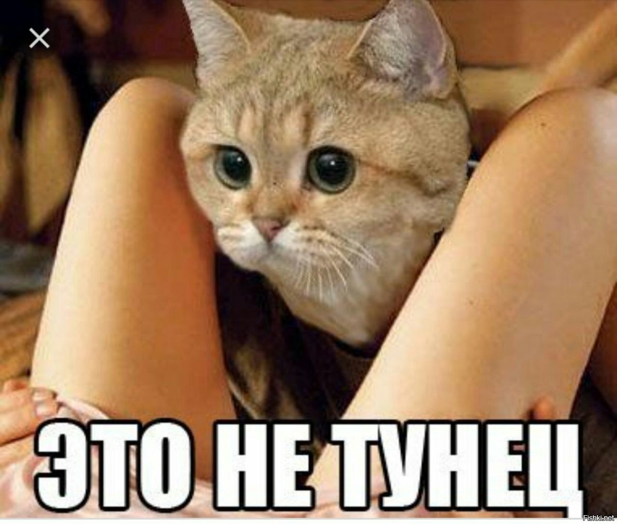 Надпись дурдом