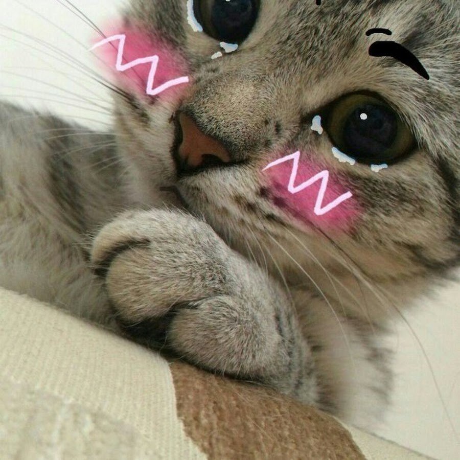 Открытки для оптимизма