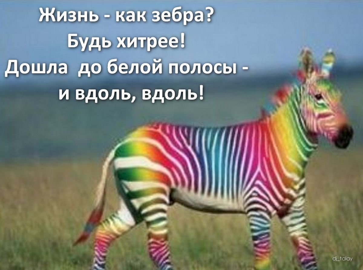 Позитивные мысли с утра