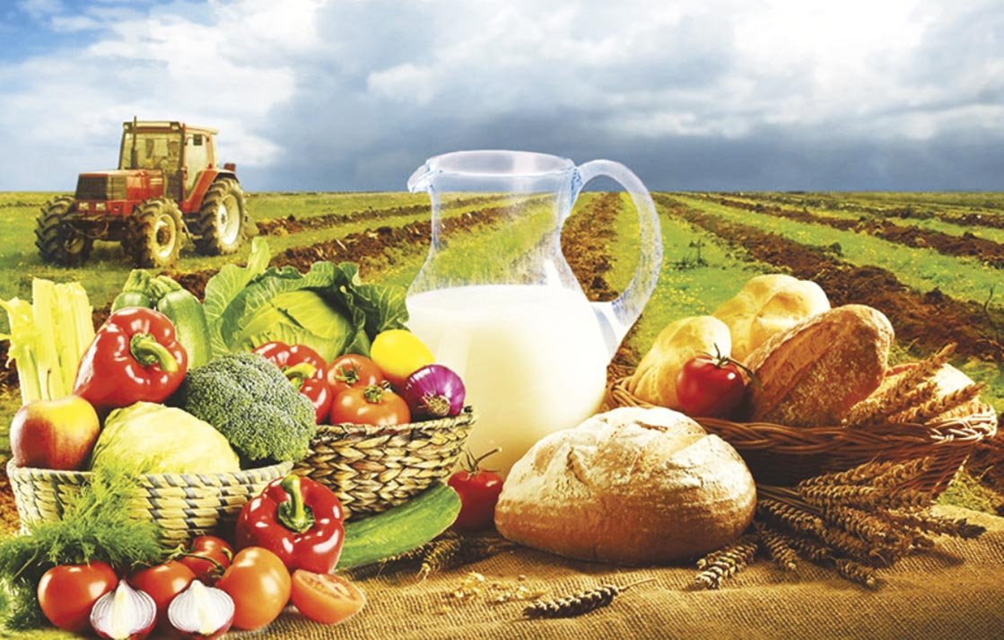 Хлебные поля Башкортостана