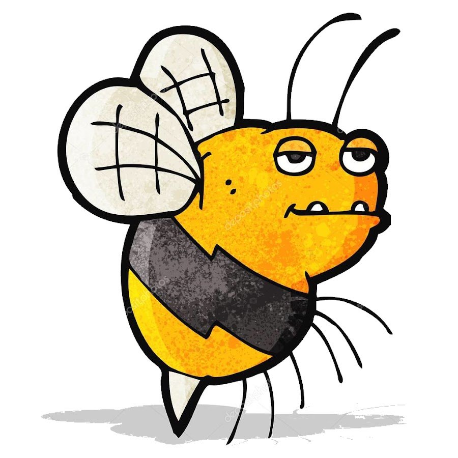 Оса пчела Шмель Шершень отличия