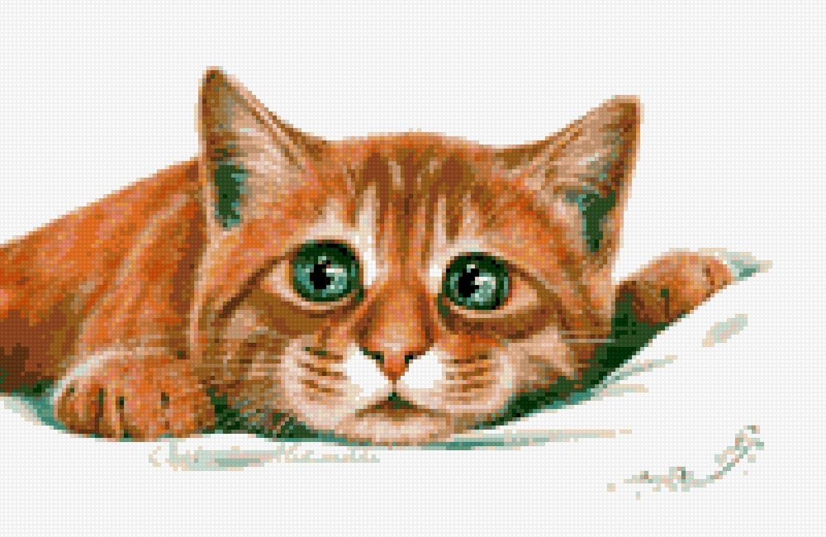 Рыжий кот рисунок