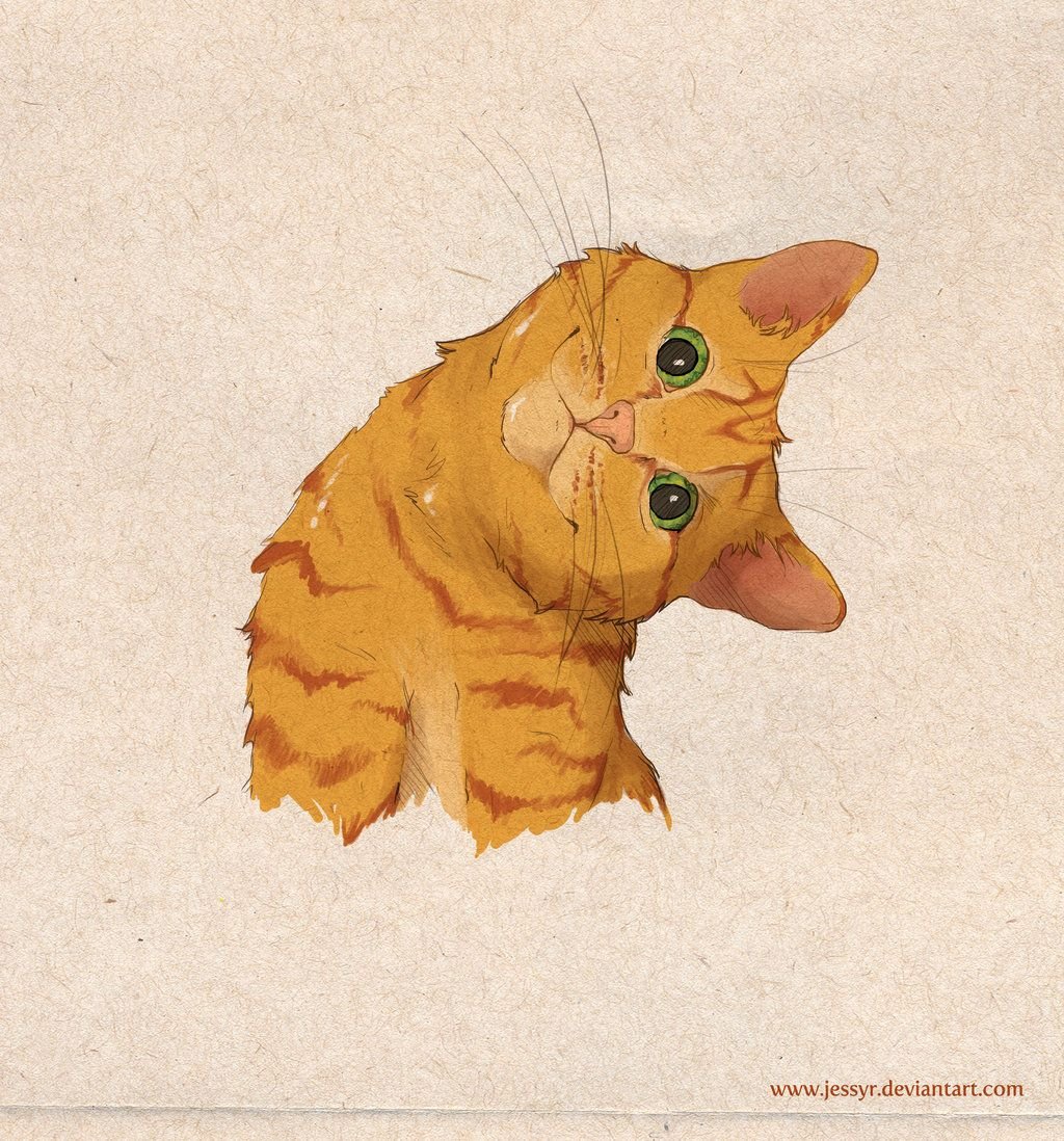 Кот наклонил голову