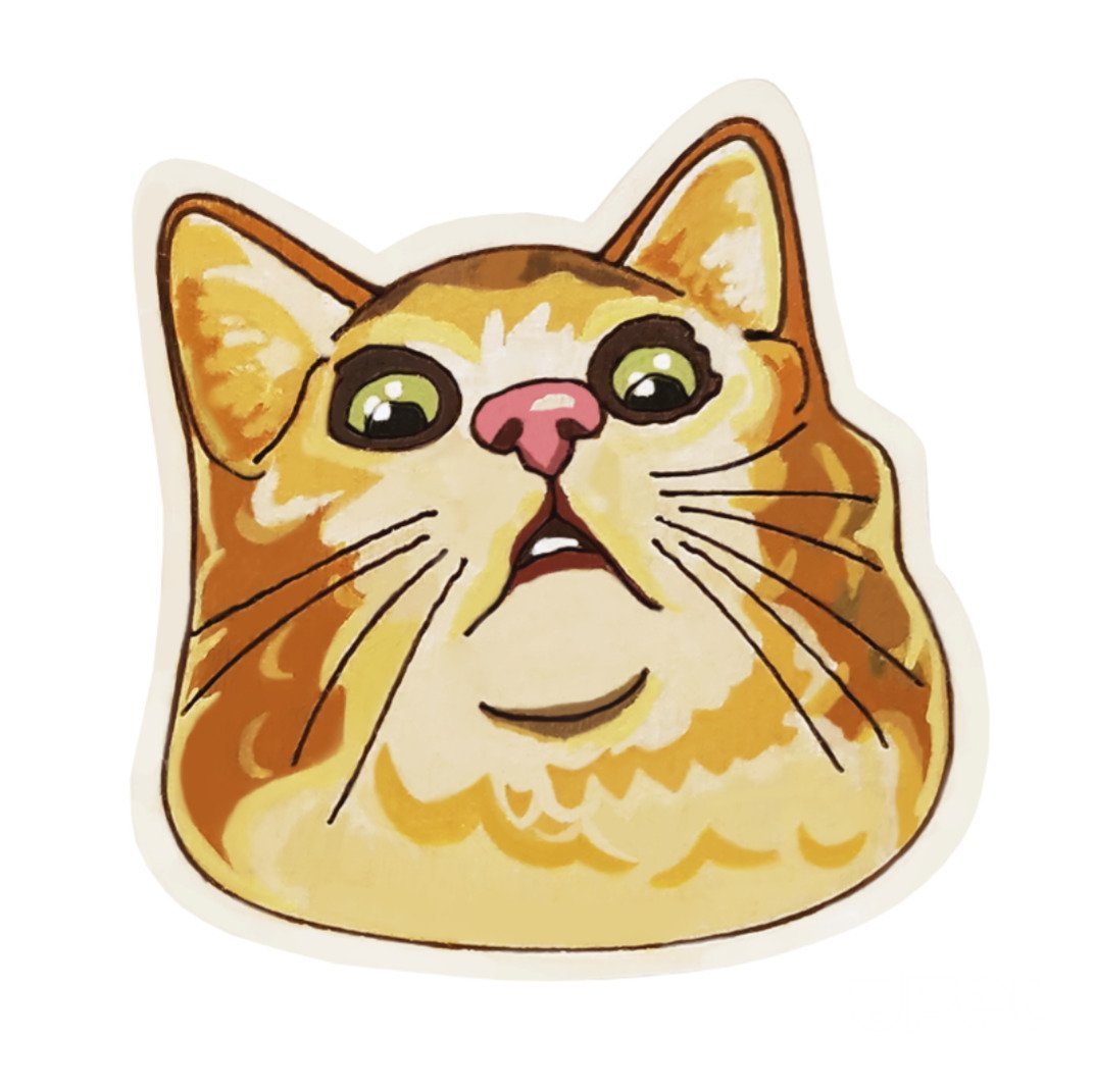 Стикер "котик"