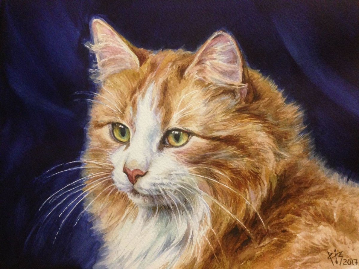 Оранжевый кот арт