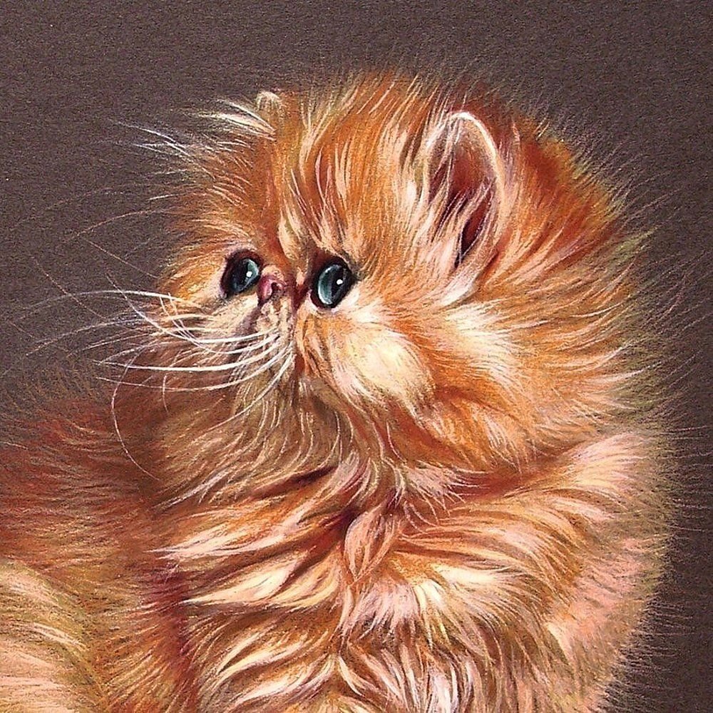 Картины кошки Ким Хаскинс