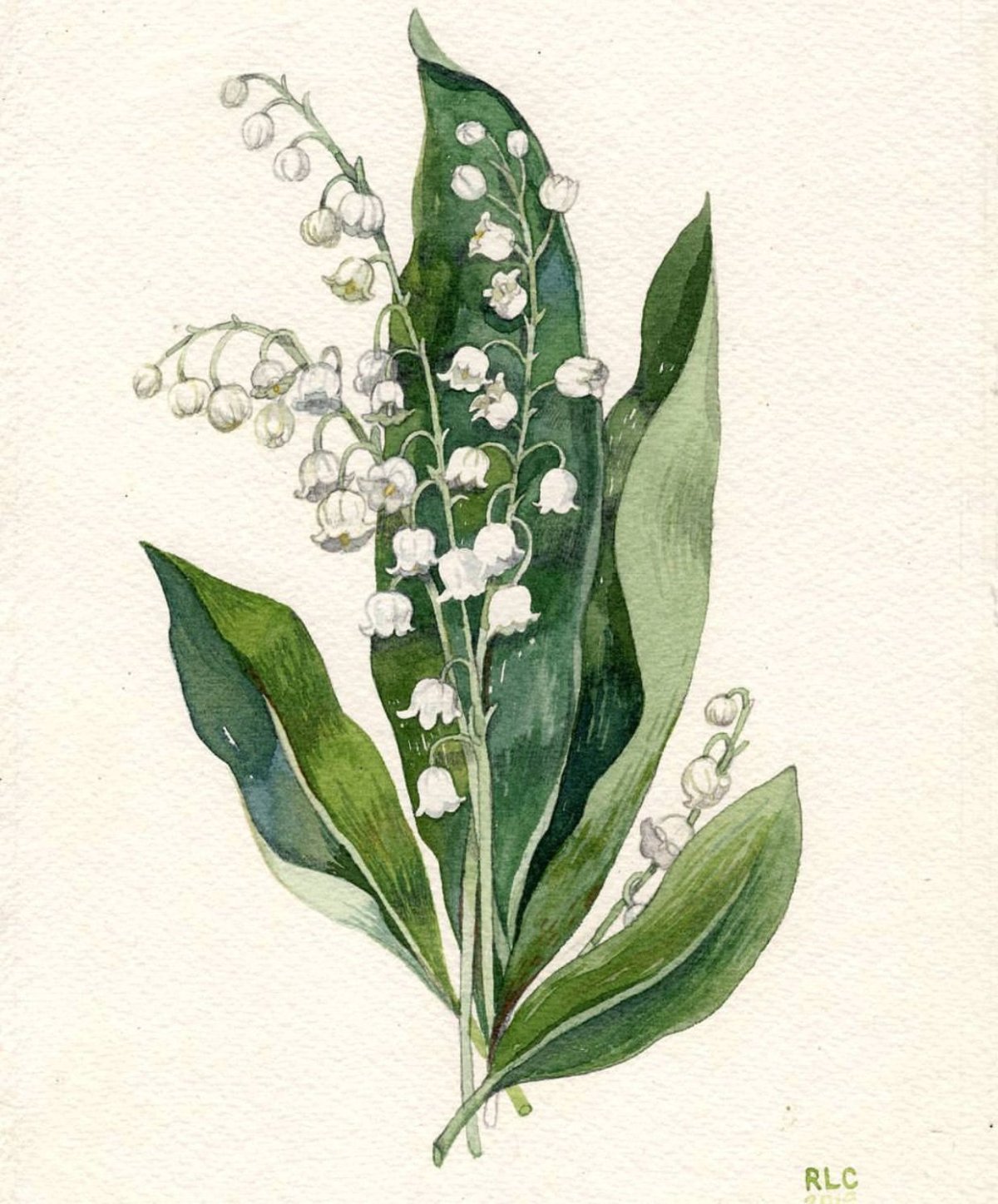 Рассказ о ландыше