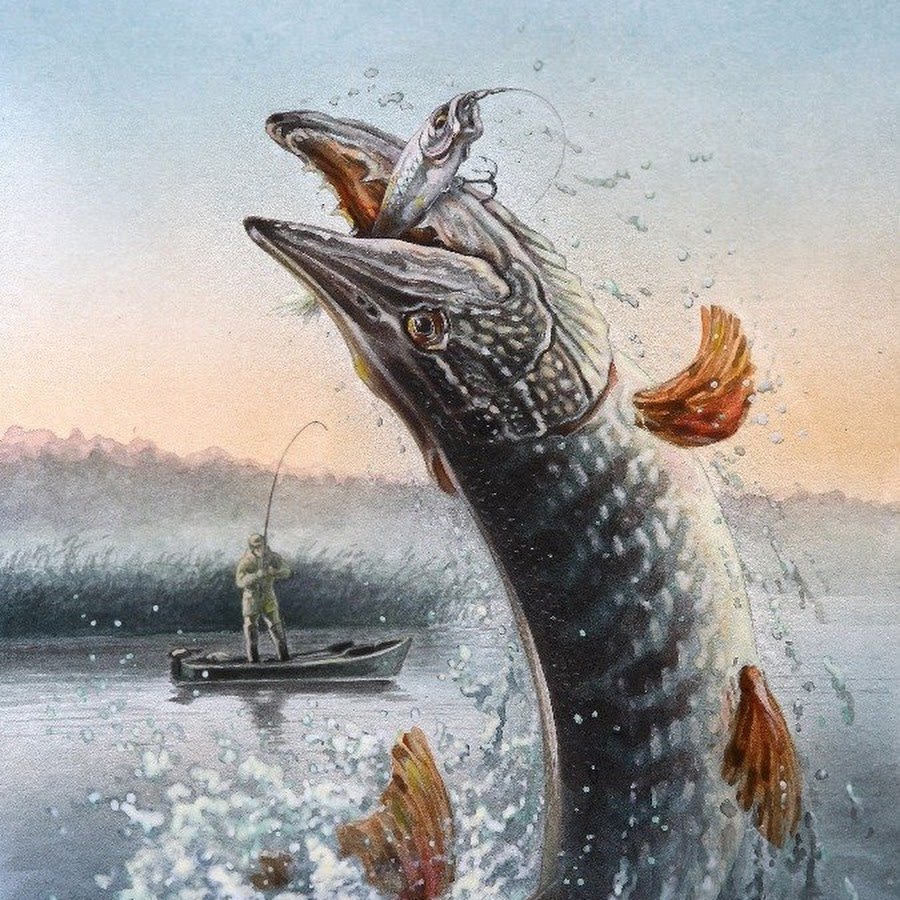 Щука гуашью