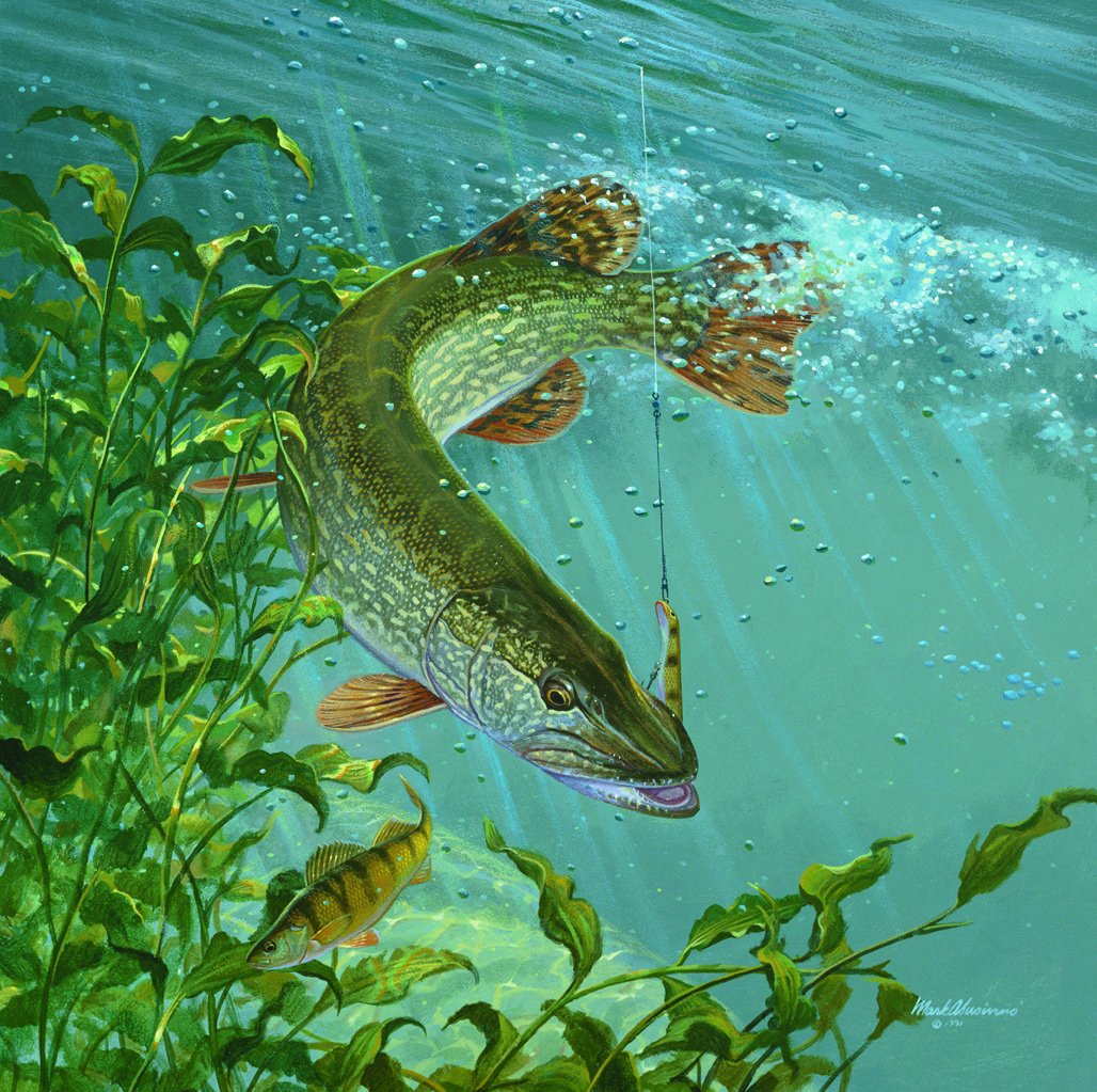 Марк Сузино картины