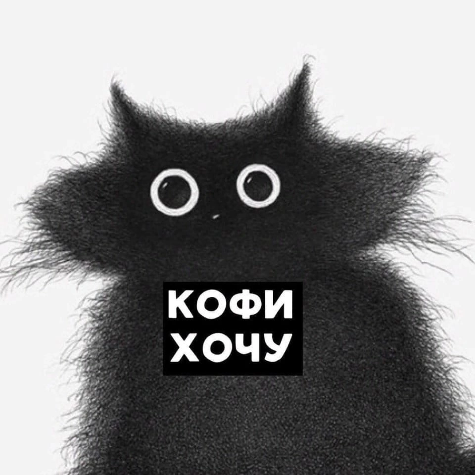 Кофий кот
