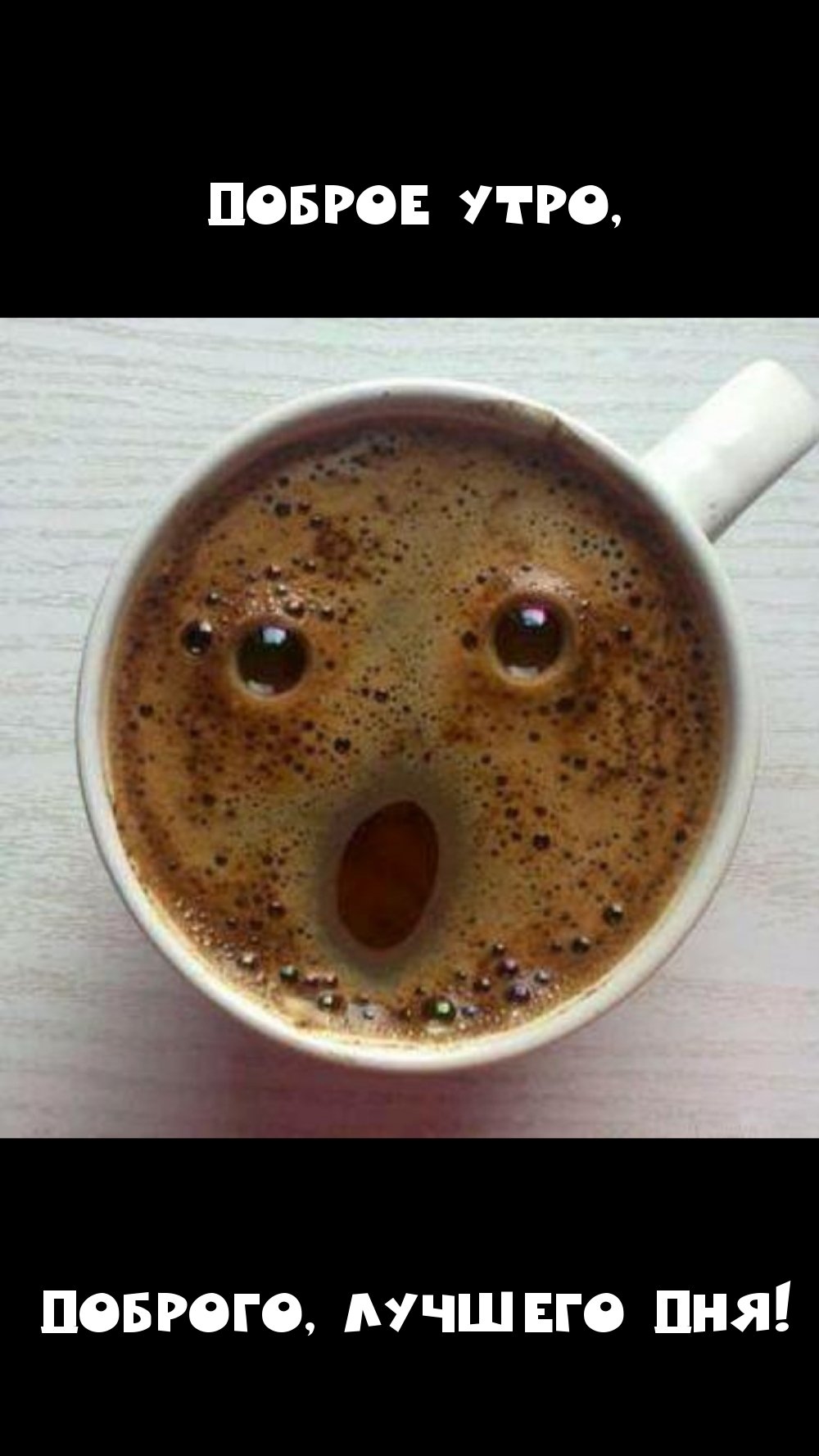 Кофи котик Мем