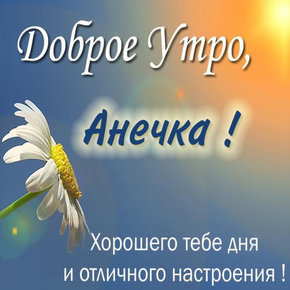 Доброе солнечное утро