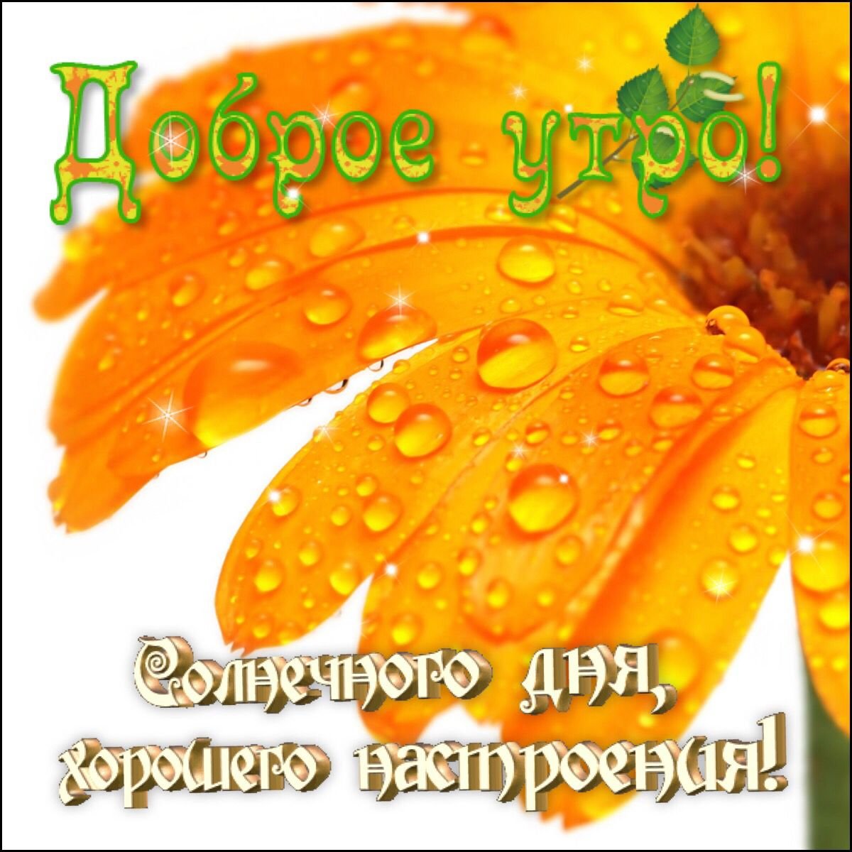 Музыкальные открытки с добрым утром