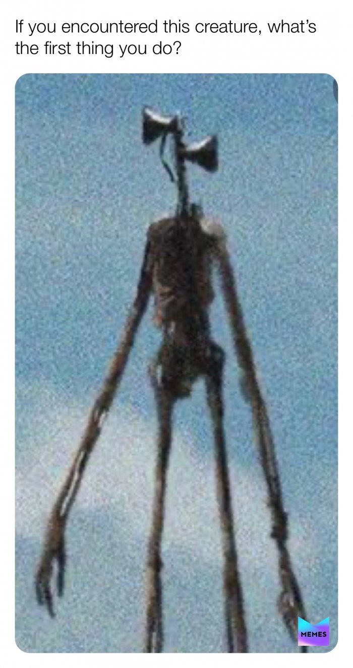 Фонареголовый Тревор Хендерсон