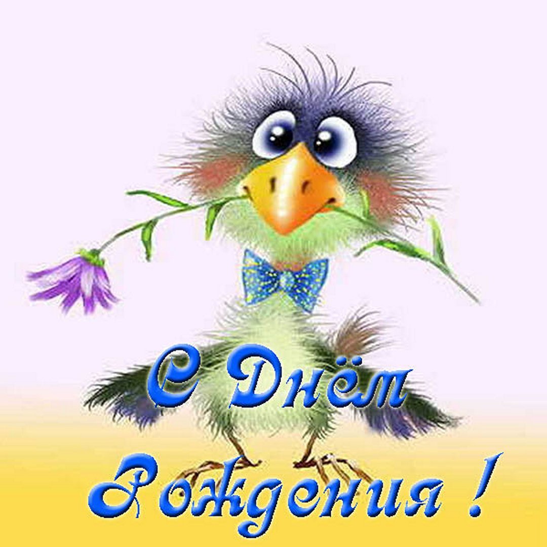 Галчонок с днем рождения