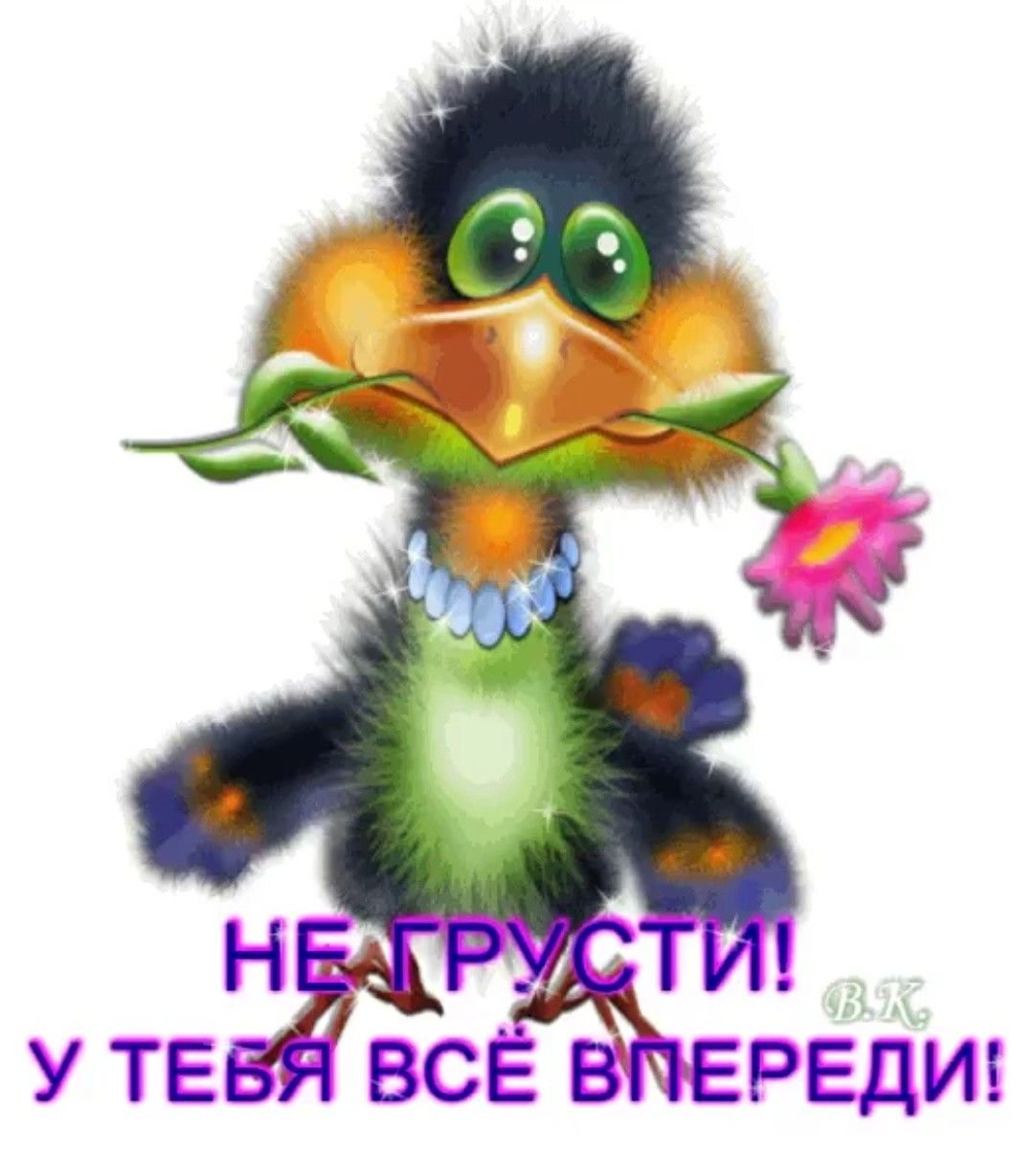 Открытки с птичками прикольные