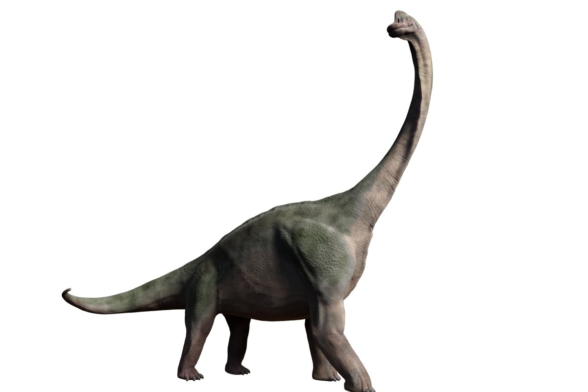 Динозавр Бронтозавр картинки