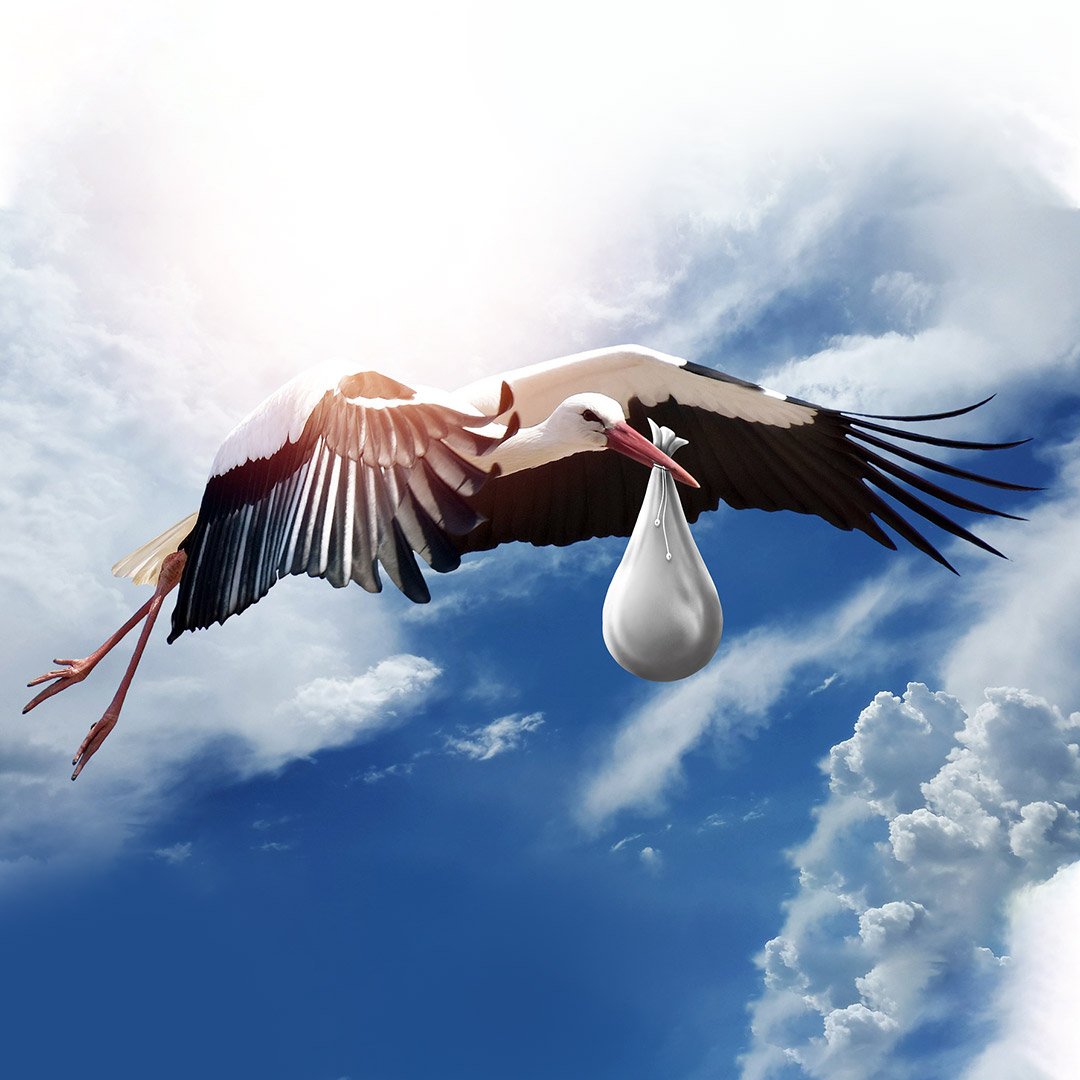 Аист с ребенком заставка