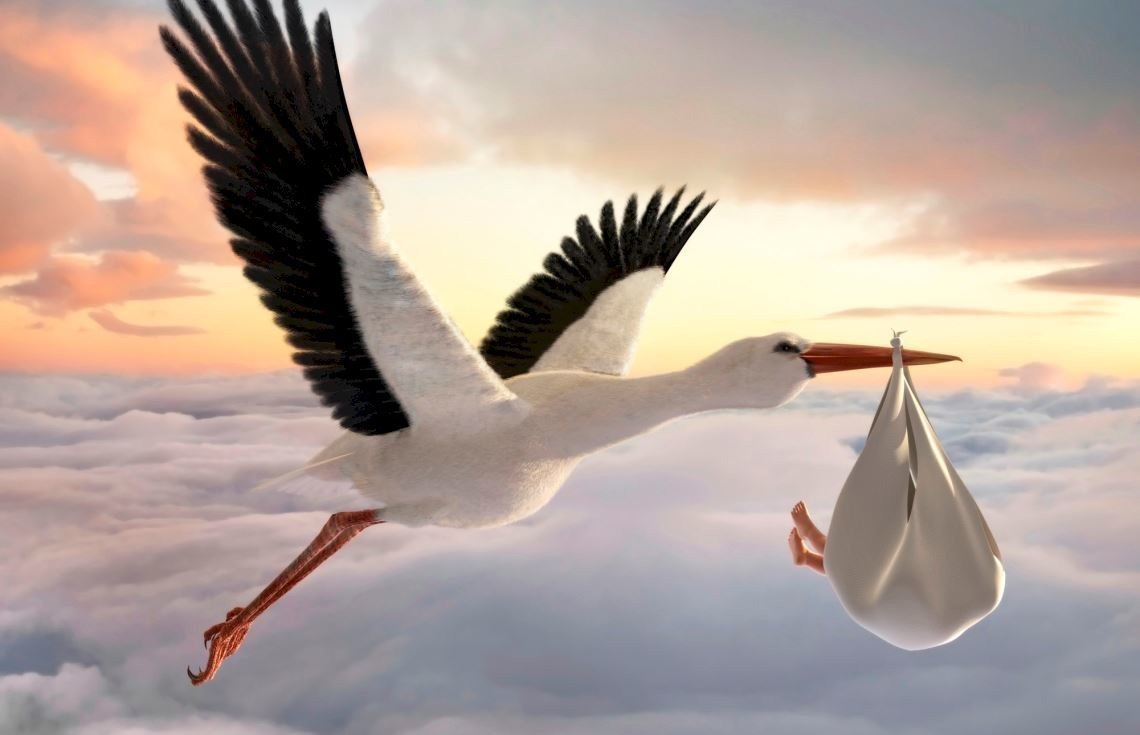 Аист несет ребенка