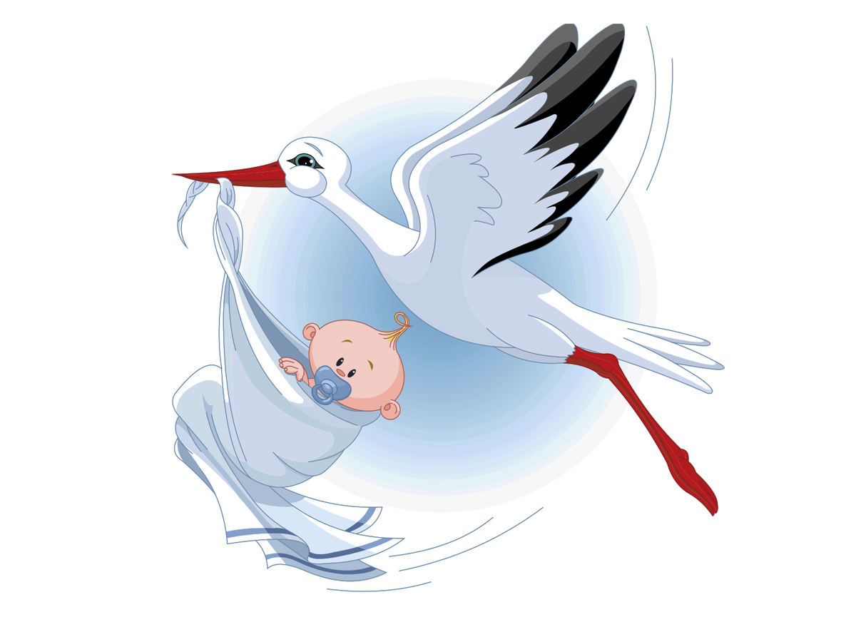 Аист с ребенком