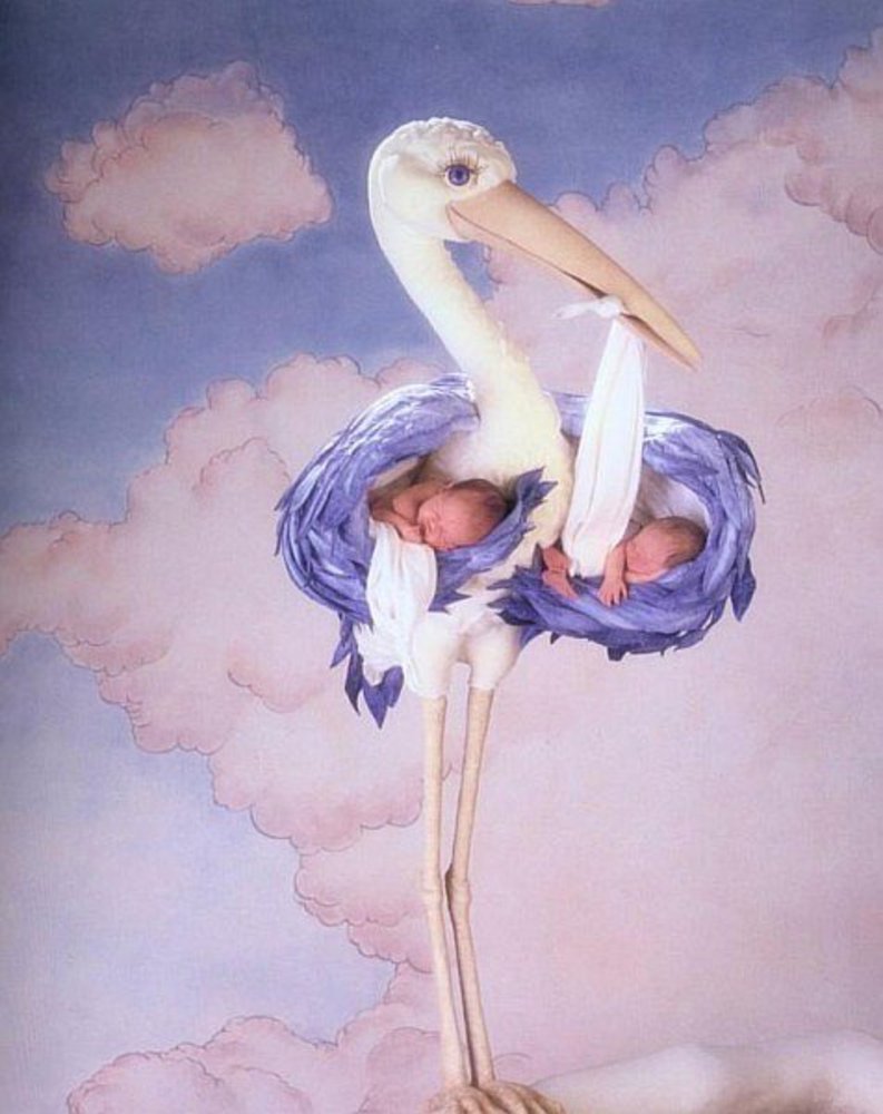 Аист с малышом