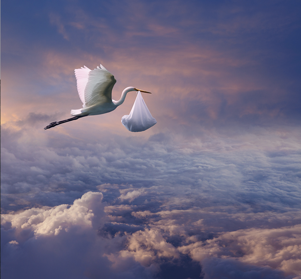 Аист с ребенком