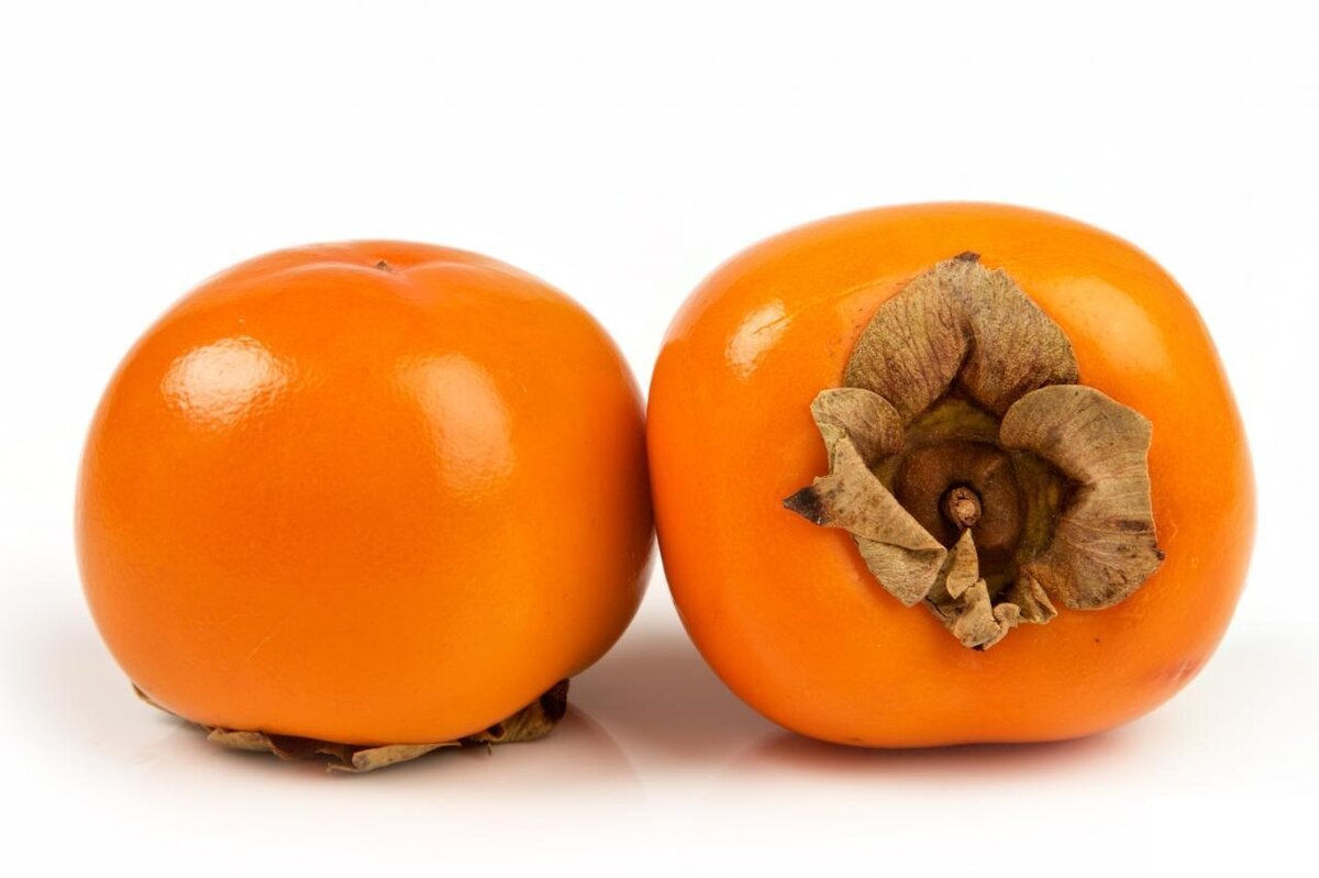 Хурма шоколадная Королек