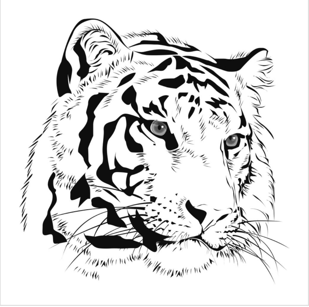 Эскиз тигра для выжигания по дереву